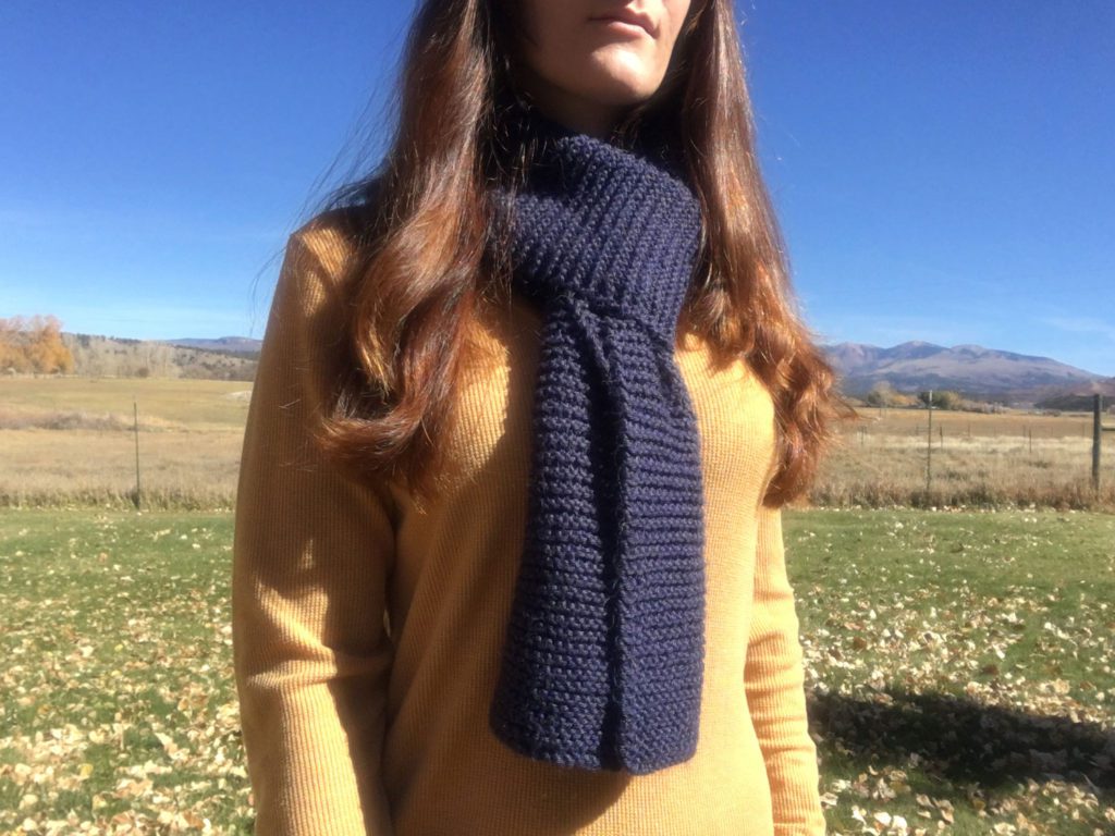 Beginner knit scarf, free easy knitting pattern from PurlsAndPixels