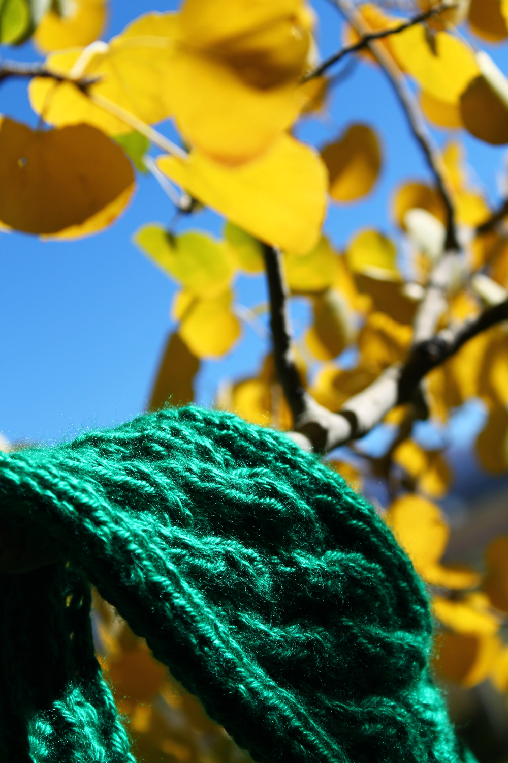 A green double cable knit headband laid on a golden aspen leaf branch shows how natural textures inspire knitting. Read more from Liz Chandler @PurlsAndPixels.