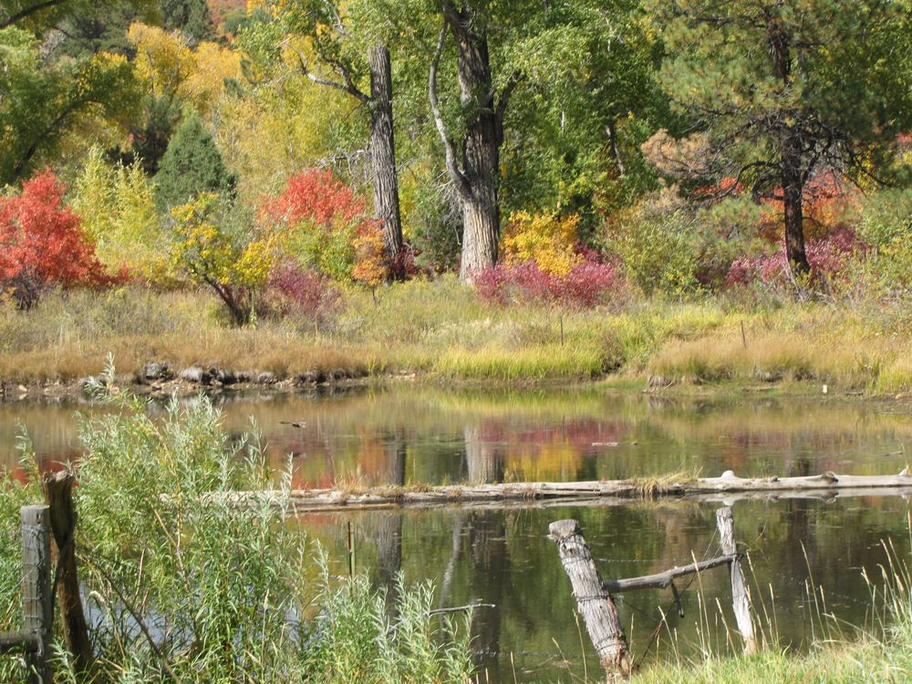Autumn landscape with balanced greens, golds, and reds reflected in still water, photographed in Colorado.