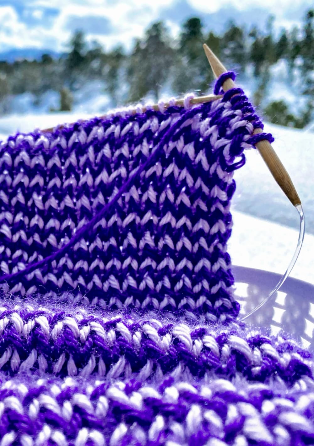 Knitting Journal: Winter Wonderland - PurlsAndPixels
