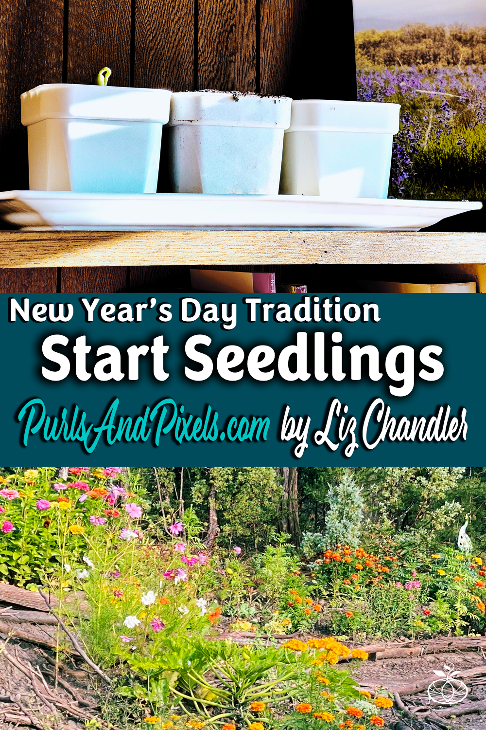 Starting Seedlings on New Year’s Day