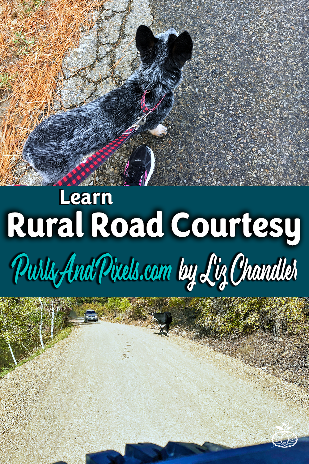 Rural Road Courtesy: A Handbook for Urban Transplants