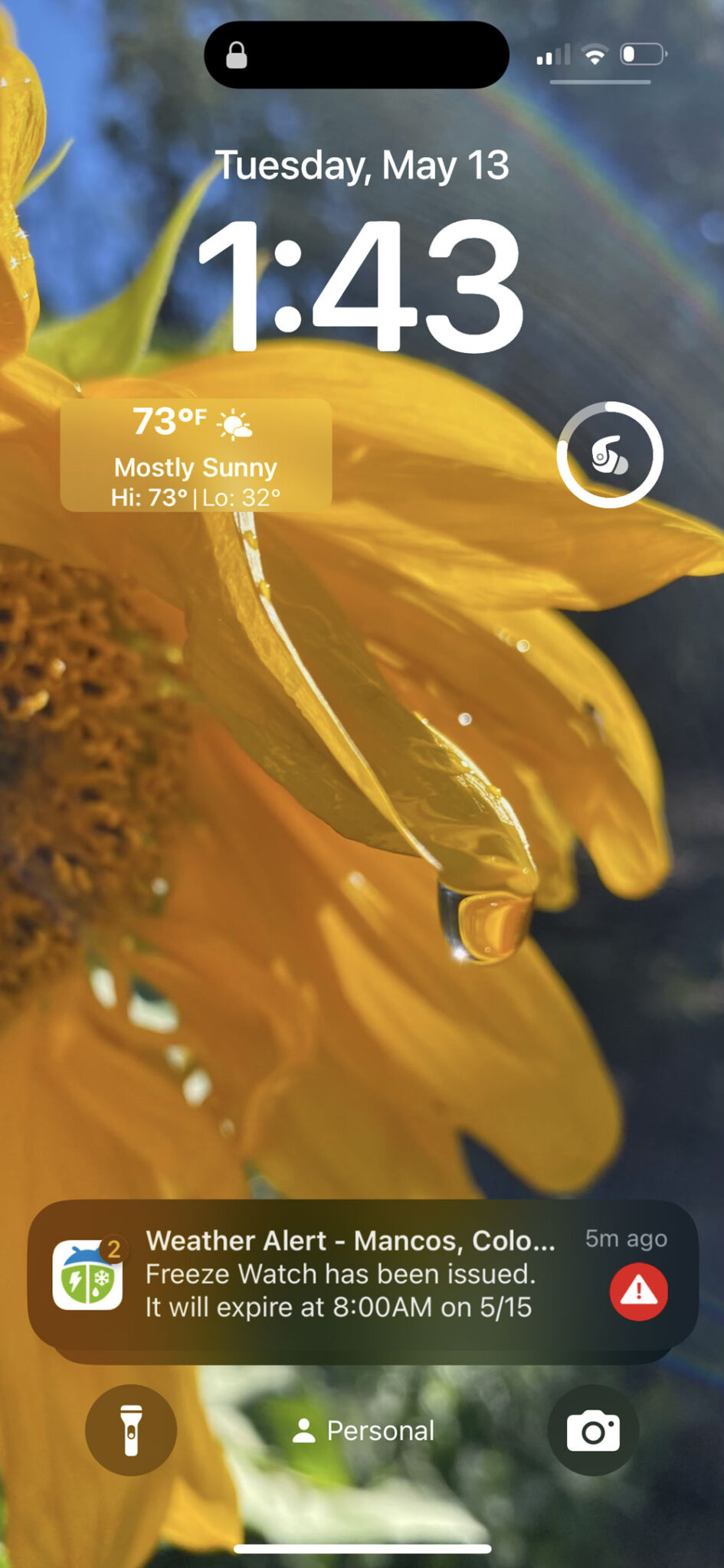 Colorado’s False Spring - PurlsAndPixels