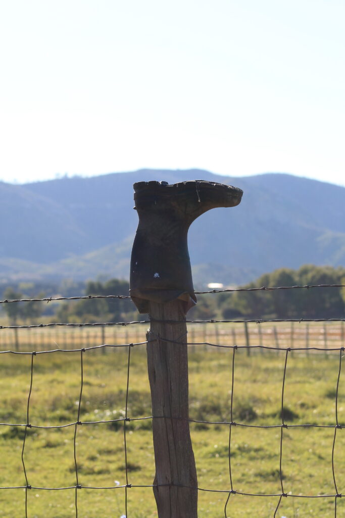 A boot on a fencepost can mean a number of things, none of which are easy or pleasant. But it is a sign we can get thru hard things together. 