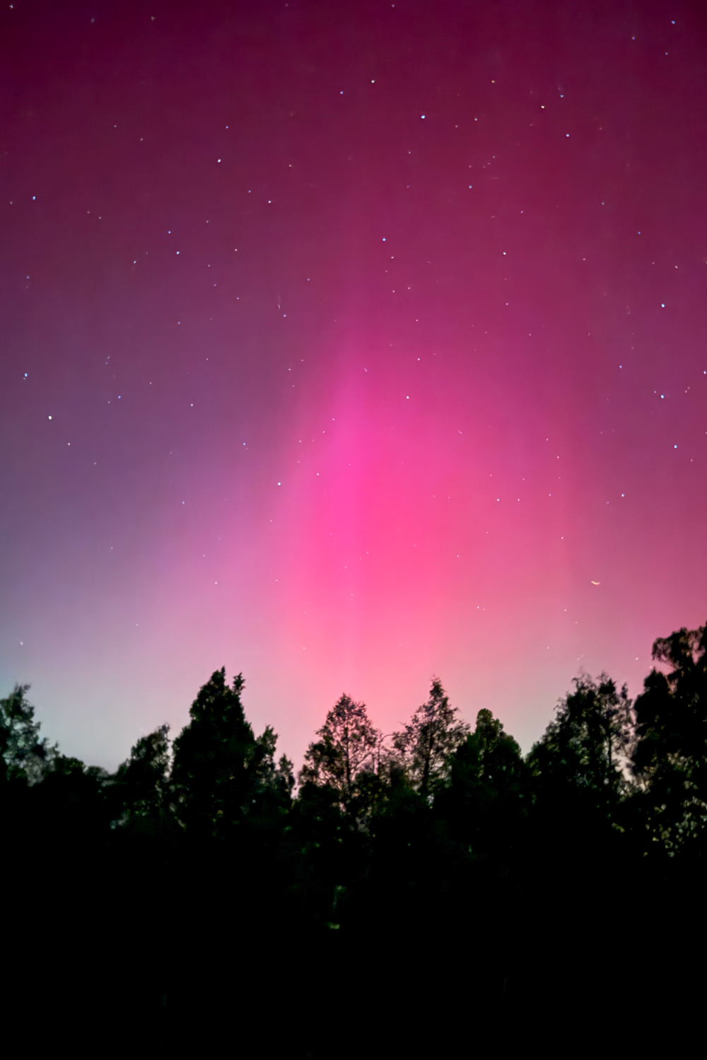 Colorado auroras would be so much more magical if we didn't know they were coming or feel required to share the moment with the entire world. But here is my aurora picutre... Look up at the sky and wonder about the stars. Get off the smart phone and get smart. Read more from Liz Chandler @PurlsAndPixels. 