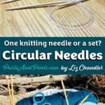 Is it one knitting needle or a set? About circular needles with Liz Chandler @PurlsAndPixels.