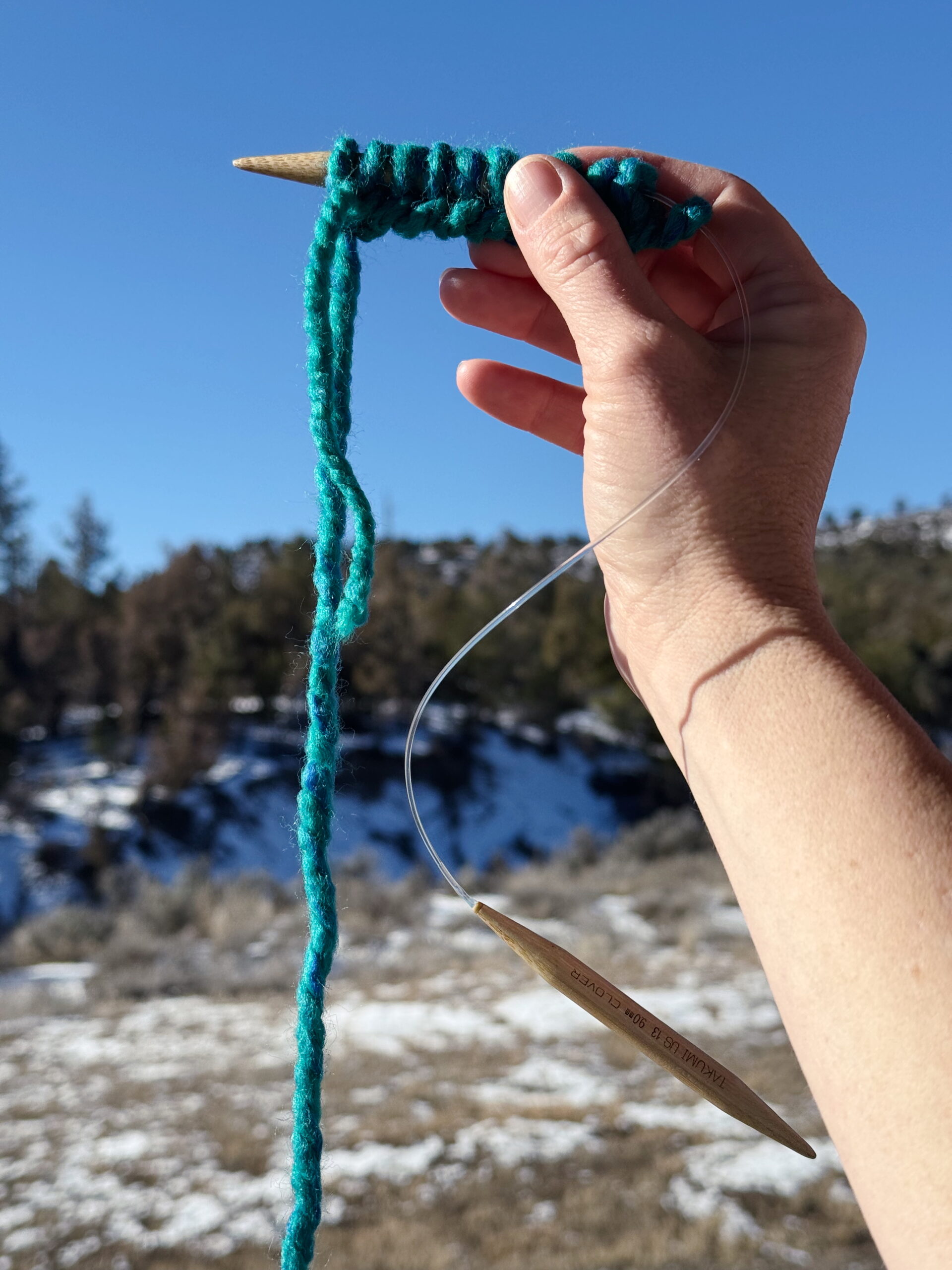 Super-bulky yarn cast on to a circular knitting needle, ready to begin knitting a flat coaster.