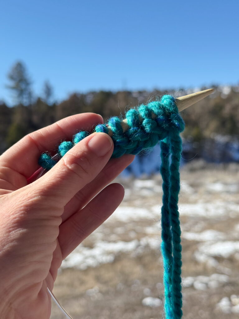 Knit Stitches held in left hand after turning the work.
